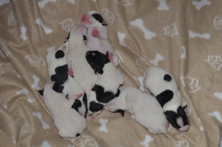 Und ?!? - Alle wieder erkannt !?!